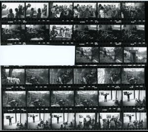 Contact Sheet 1031 by James Ravilious