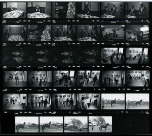 Contact Sheet 1033 by James Ravilious