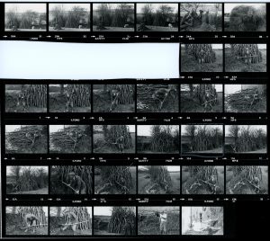 Contact Sheet 1037 by James Ravilious
