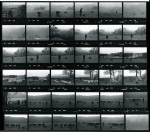 Contact Sheet 1050 by James Ravilious