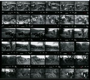 Contact Sheet 1060 by James Ravilious