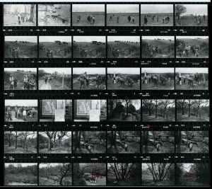 Contact Sheet 1062 by James Ravilious