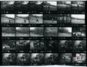 Contact Sheet 1072 by James Ravilious