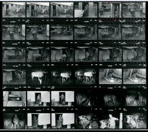Contact Sheet 1075 by James Ravilious