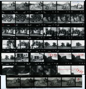 Contact Sheet 1079 by James Ravilious