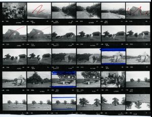 Contact Sheet 1080 by James Ravilious