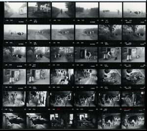 Contact Sheet 1083 by James Ravilious