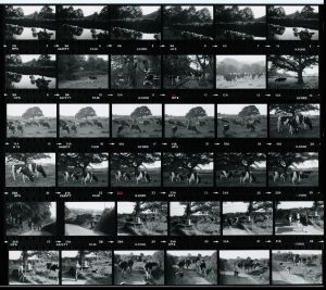 Contact Sheet 1084 by James Ravilious
