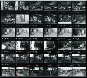 Contact Sheet 1086 by James Ravilious
