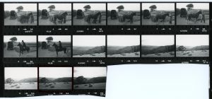 Contact Sheet 1092 by James Ravilious