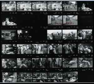 Contact Sheet 1097 by James Ravilious