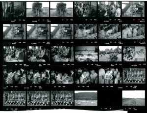 Contact Sheet 1102 by James Ravilious