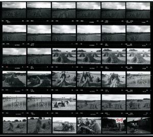 Contact Sheet 1103 by James Ravilious