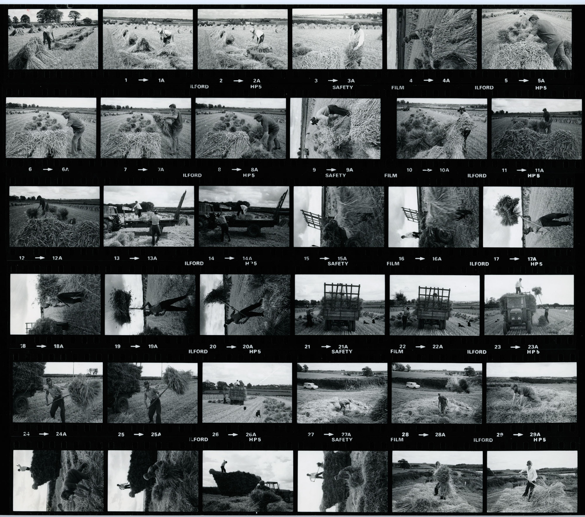 Negative numbers 0-35. All these frames are duplicated on contact sheet RAV/02/1108/2.