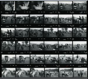 Contact Sheet 1109 by James Ravilious