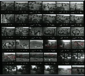 Contact Sheet 1113 by James Ravilious