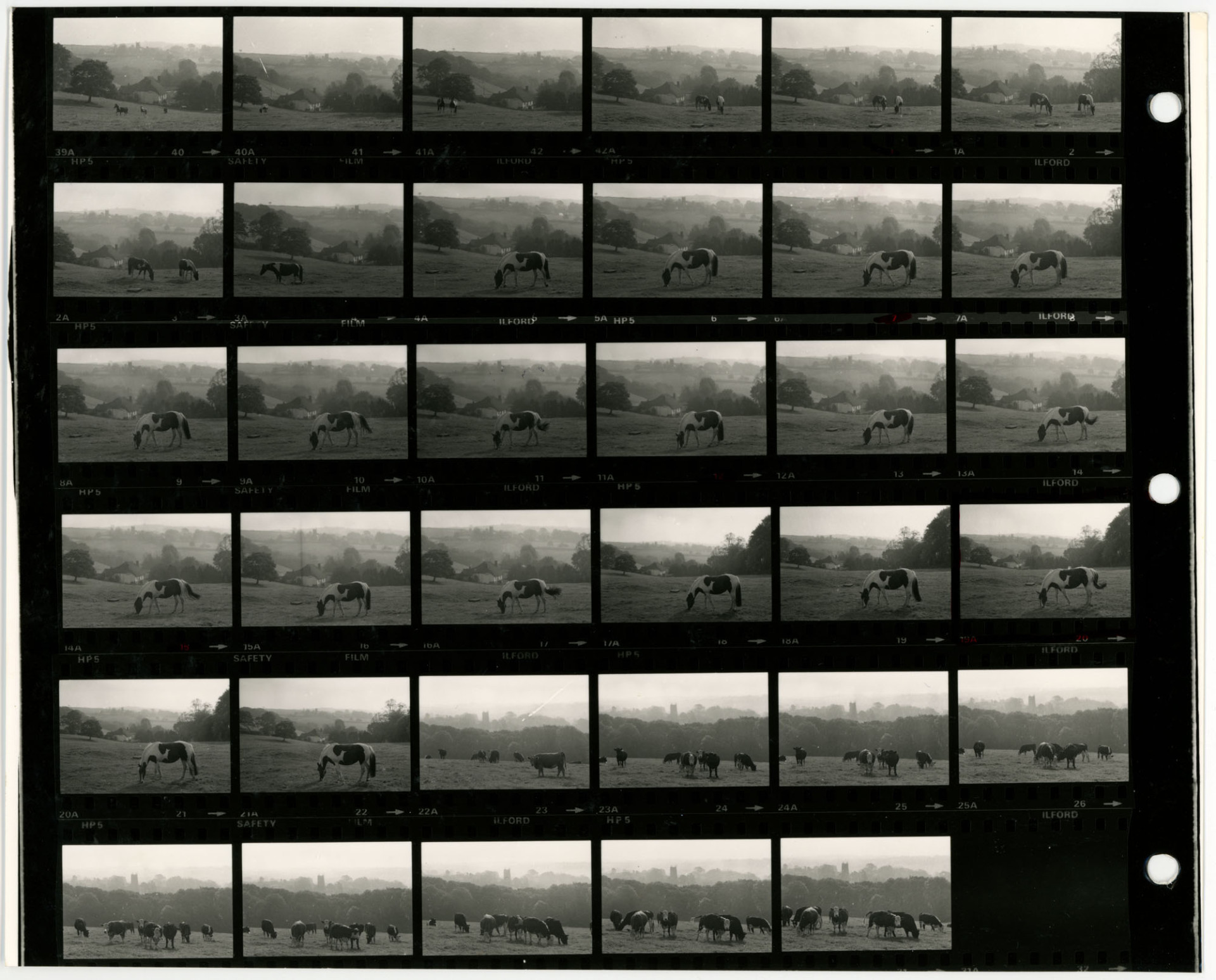 Negative numbers 40-42 and 0-31. These frames are all duplicated on contact sheet RAV/02/1117/2.