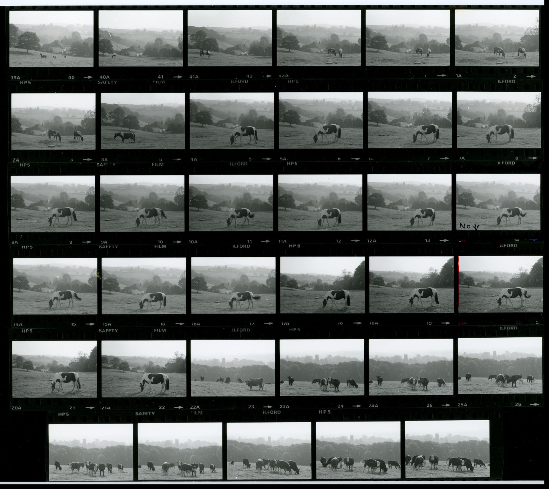 Negative numbers 40-42 and 0-31. These frames are all duplicated on contact sheet RAV/02/1117/1.