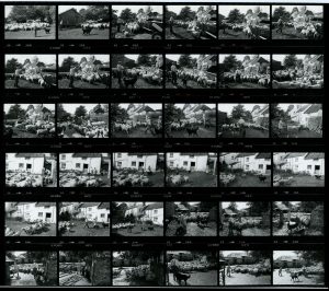 Contact Sheet 1129 by James Ravilious