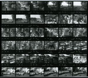 Contact Sheet 1130 by James Ravilious