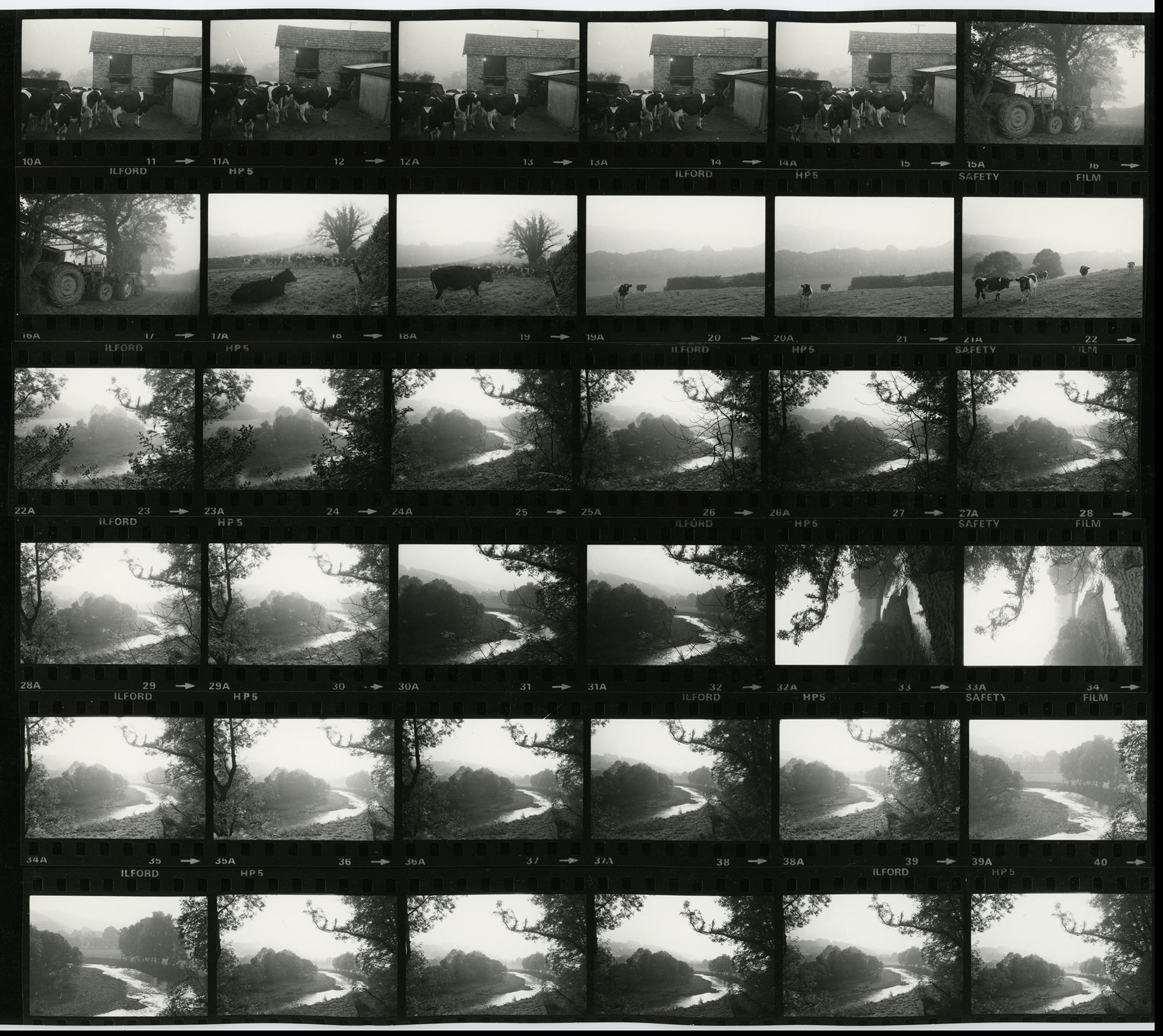 Negative numbers 11-42 and 0-3. These frames are all duplicated on contact sheet RAV/02/1137/1.