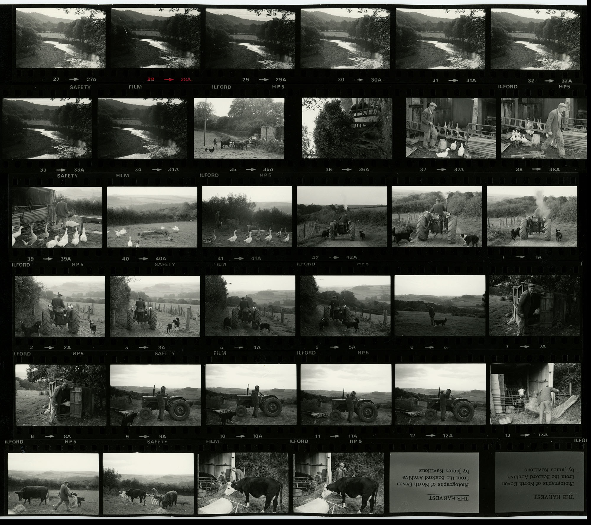 Negative numbers 27-42 and 0-19A. These frames are all duplicated on contact sheet RAV/02/1140/2.