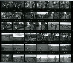 Contact Sheet 1151 by James Ravilious