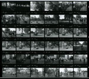Contact Sheet 1152 by James Ravilious