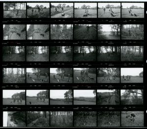 Contact Sheet 1154 by James Ravilious
