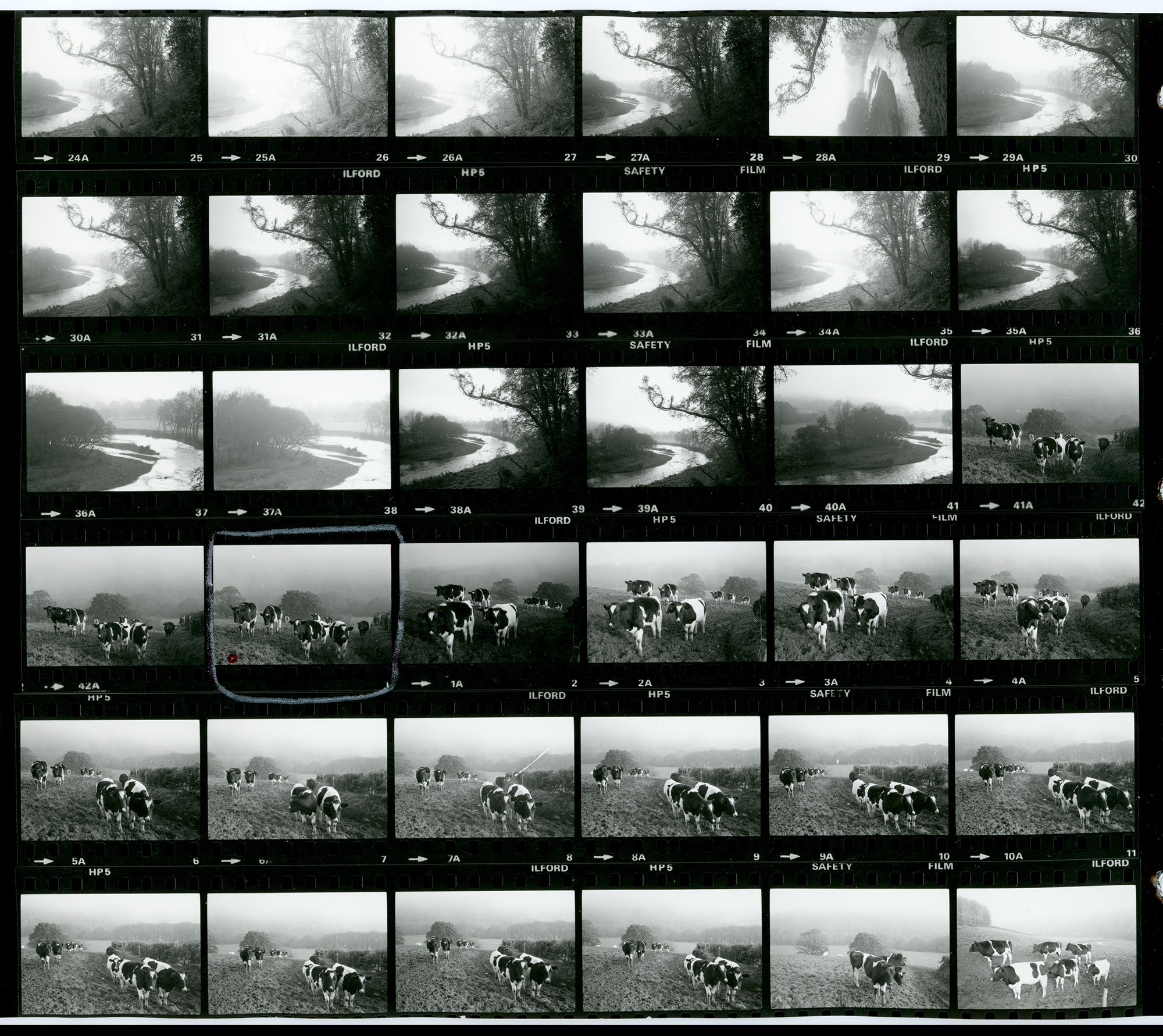 Negative numbers 24A-42A and 0-16A. These frames are all duplicated on contact sheet RAV/02/1159/1.