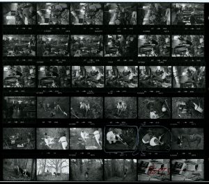 Contact Sheet 1160 by James Ravilious