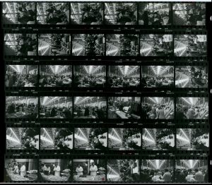 Contact Sheet 1166 by James Ravilious