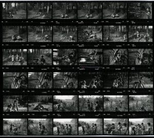 Contact Sheet 1185 by James Ravilious