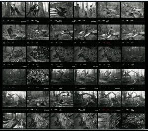 Contact Sheet 1191 by James Ravilious