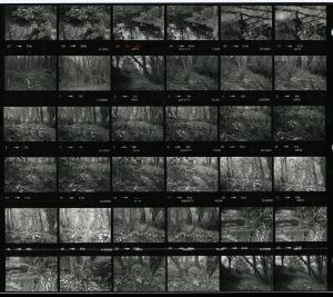 Contact Sheet 1192 by James Ravilious