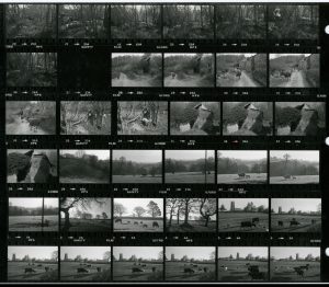 Contact Sheet 1196 by James Ravilious