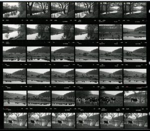 Contact Sheet 1205 by James Ravilious