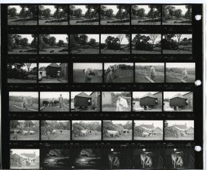 Contact Sheet 1212 by James Ravilious