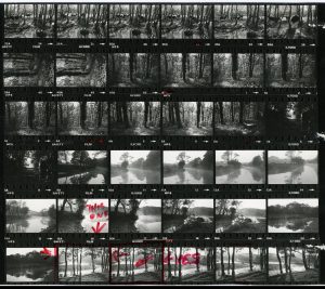 Contact Sheet 1213 by James Ravilious