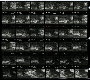 Contact Sheet 1222 by James Ravilious
