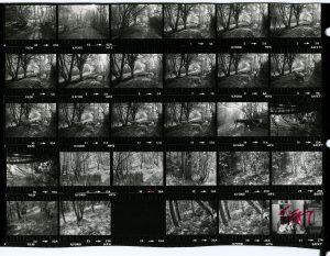 Contact Sheet 1227 by James Ravilious