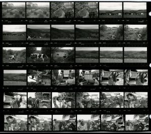 Contact Sheet 1229 by James Ravilious