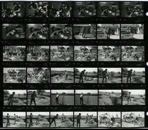 Contact Sheet 1230 by James Ravilious