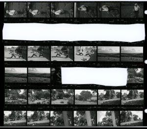 Contact Sheet 1235 by James Ravilious