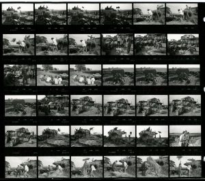 Contact Sheet 1237 by James Ravilious