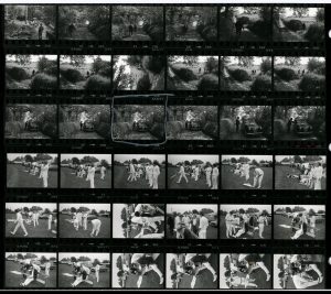 Contact Sheet 1238 by James Ravilious