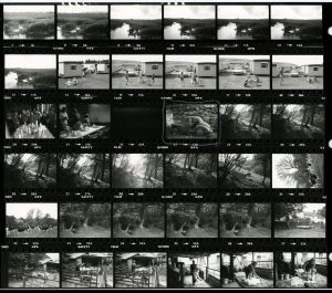 Contact Sheet 1242 by James Ravilious