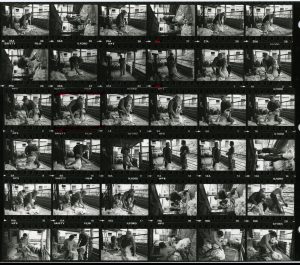 Contact Sheet 1243 by James Ravilious