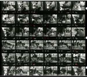 Contact Sheet 1244 by James Ravilious