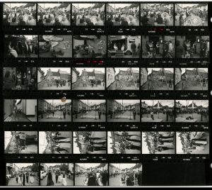 Contact Sheet 1252 by James Ravilious